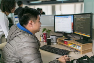 做精軟件外包，浙江服貿企業用質量征服國際市場